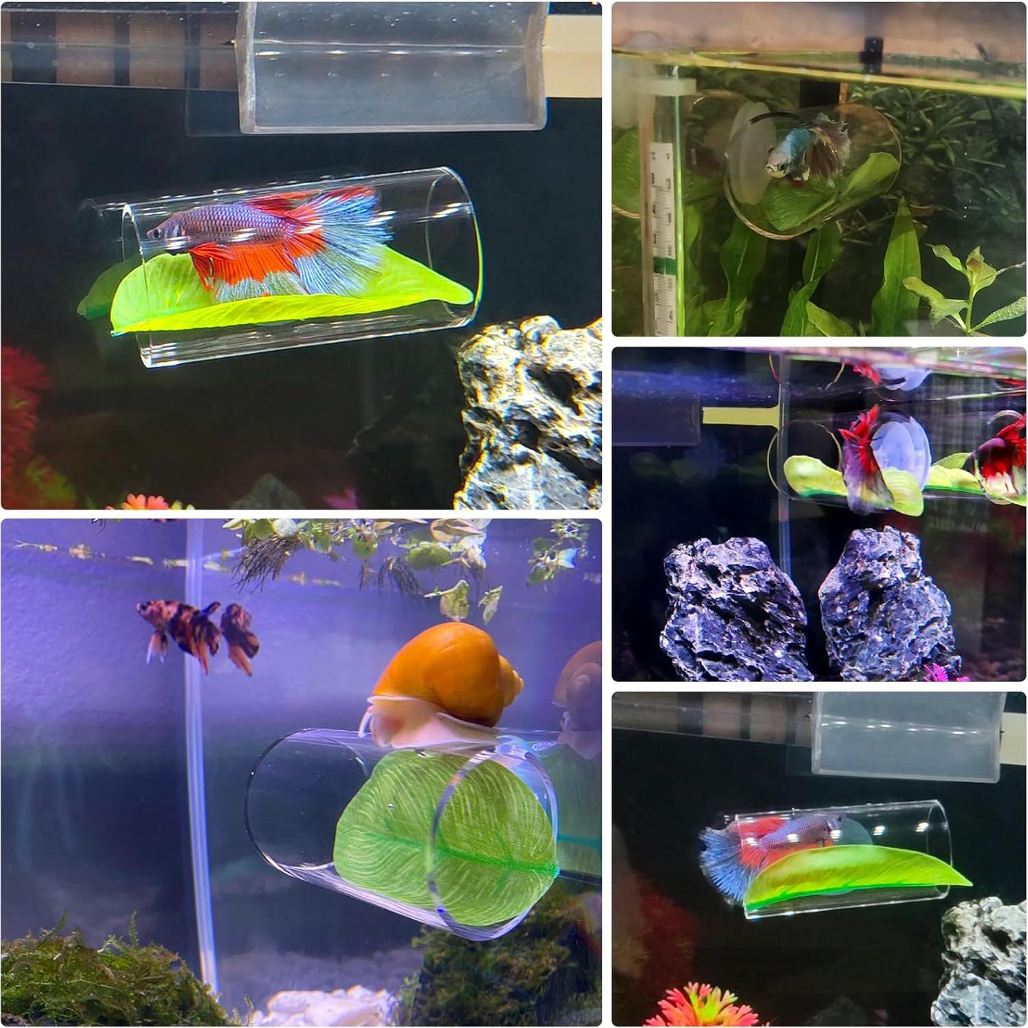 Túnel Acrílico para Peces Betta CousDUoBe 8cm con Almohadilla