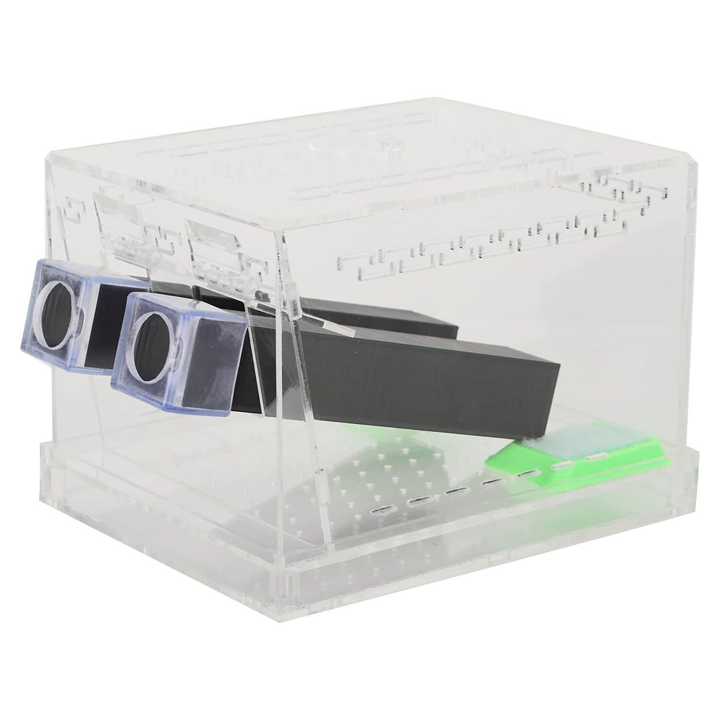 Caja de Alimentación Acrílica Pssopp para Insectos Grande