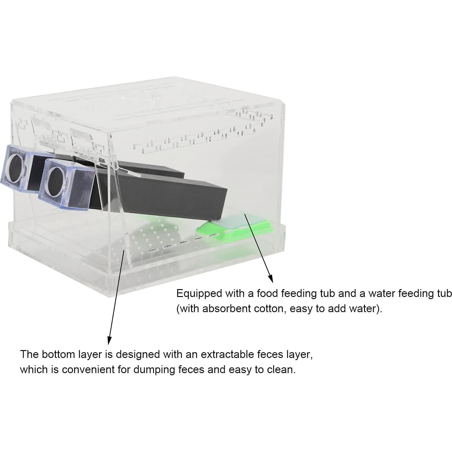 Caja de Alimentación Acrílica Pssopp para Insectos Grande
