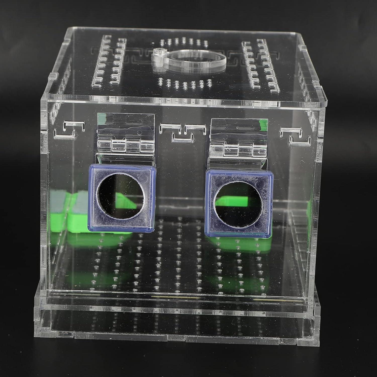 Caja de Alimentación Acrílica Pssopp para Insectos Grande