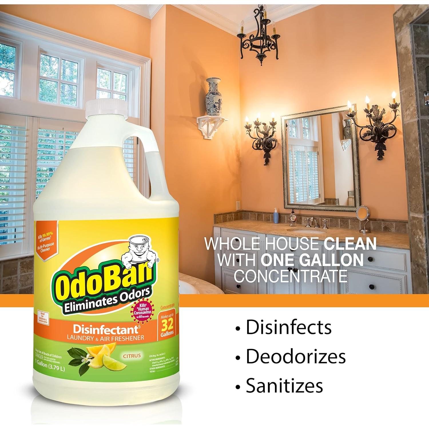 OdoBan Desinfectante Multiusos 2x32 oz y 1 Galón Cítricos