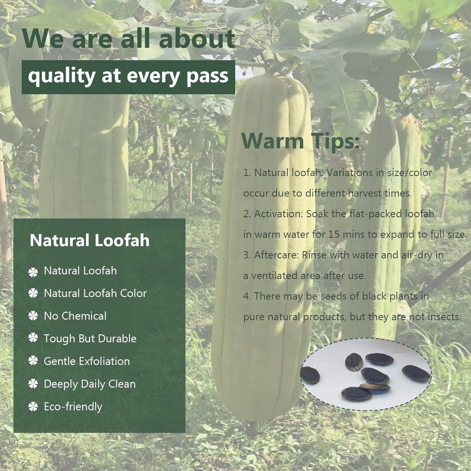 Esponjas de Lufa Natural FRTIM - Paquete de 6 Exfoliantes