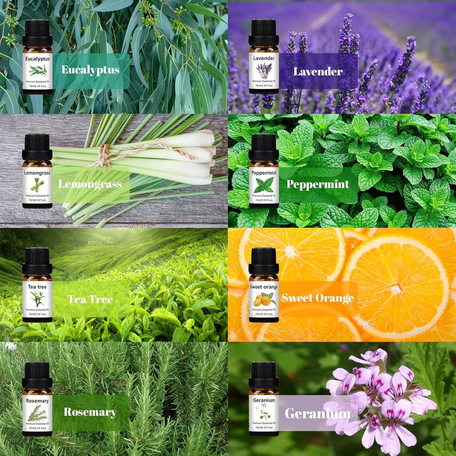 Juego de 8 Aceites Esenciales Puros BISIRBAT 10ml para Difusor