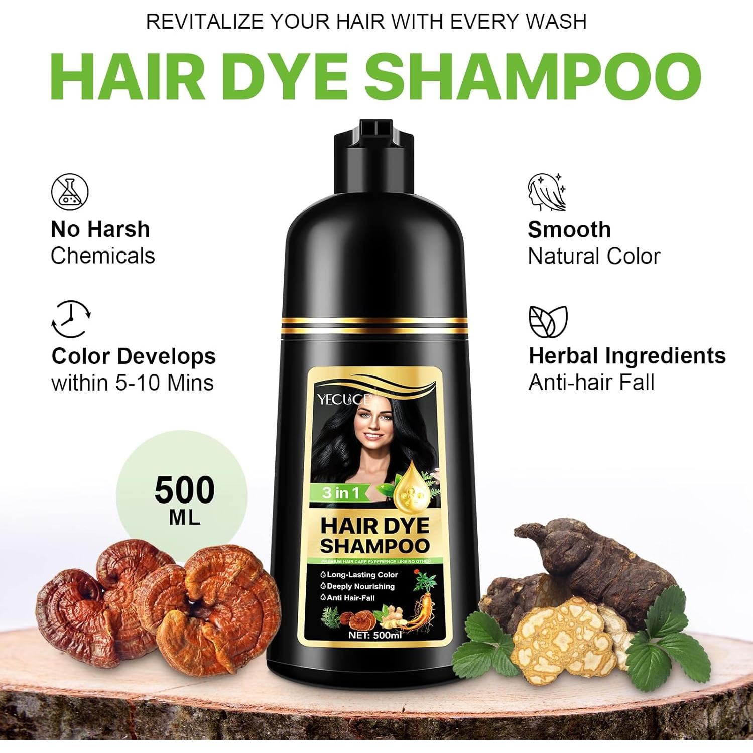 Champú Tinte 3 en 1 FSLHCY Negro 500ml para Cabello Canoso