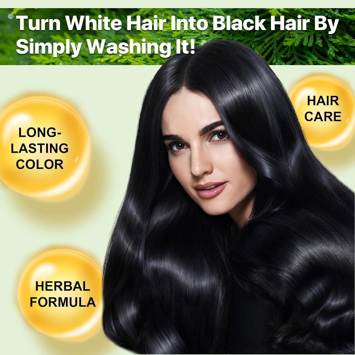 Champú Tinte 3 en 1 FSLHCY Negro 500ml para Cabello Canoso