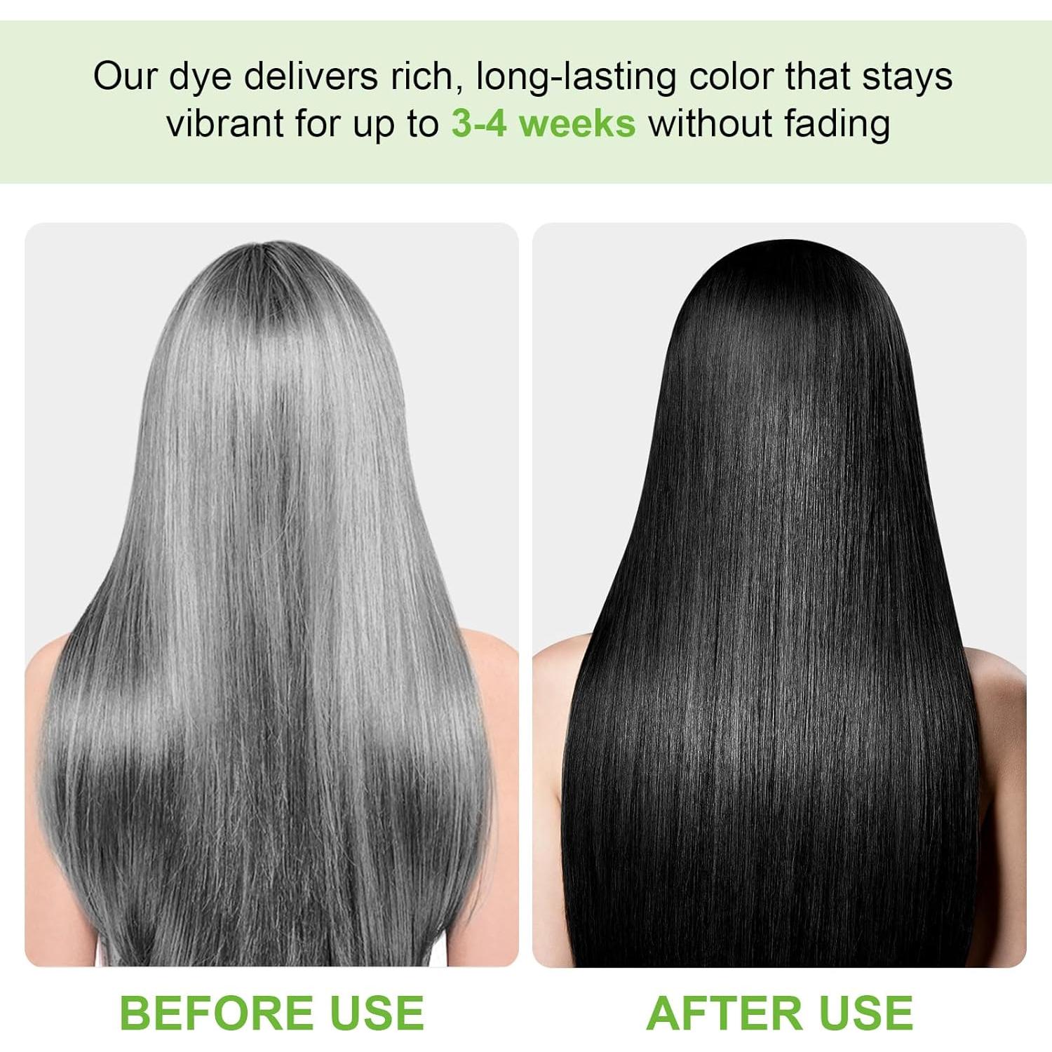 Champú Tinte 3 en 1 FSLHCY Negro 500ml para Cabello Canoso