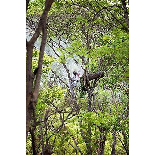 Bálsamo Labial Orgánico Zambeezi Honeybalm - Paquete de 3