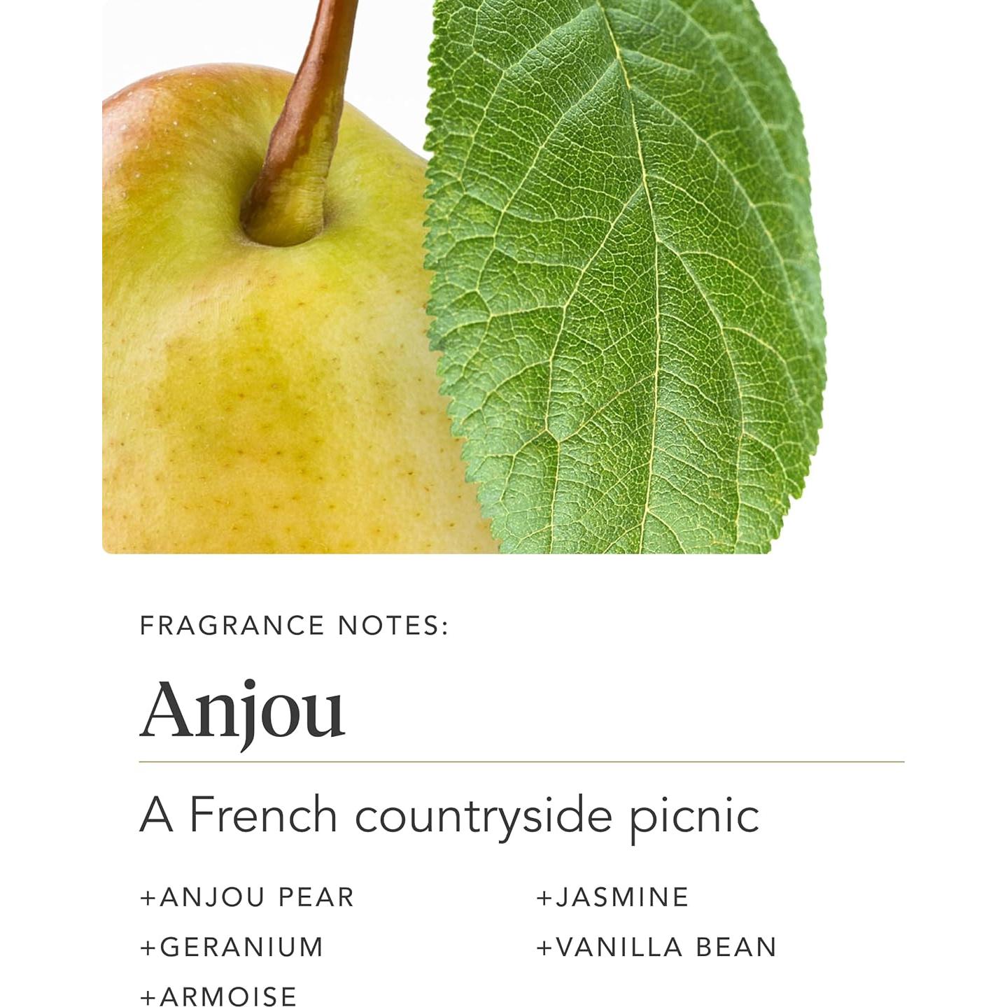 Loción Corporal y de Manos Probiotica Zents Anjou 181ml