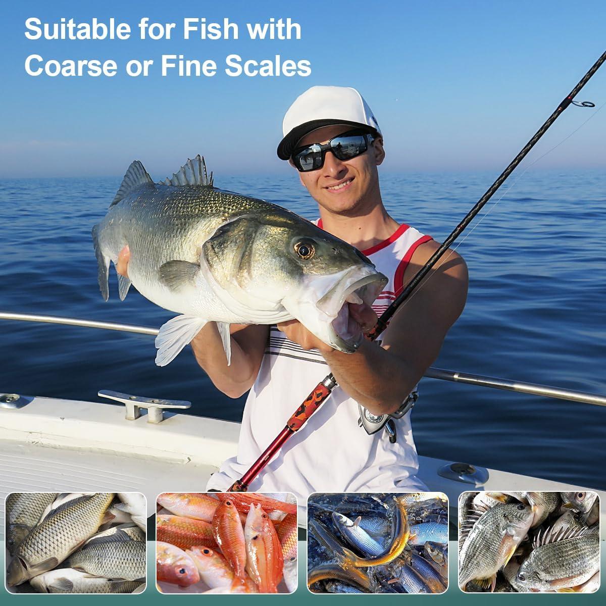 Escalador de Pescado SUCCFLY de Acero Inoxidable 19 cm