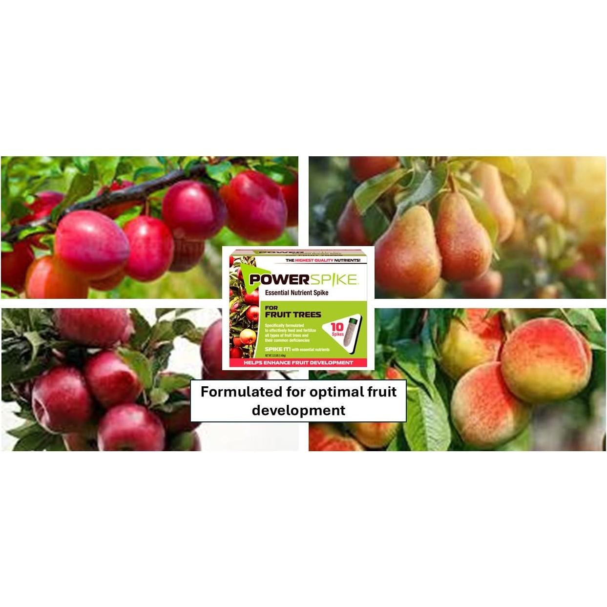 Fertilizante para Árboles Frutales Power Spike 20 Picos