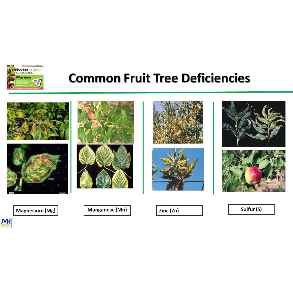 Fertilizante para Árboles Frutales Power Spike 20 Picos