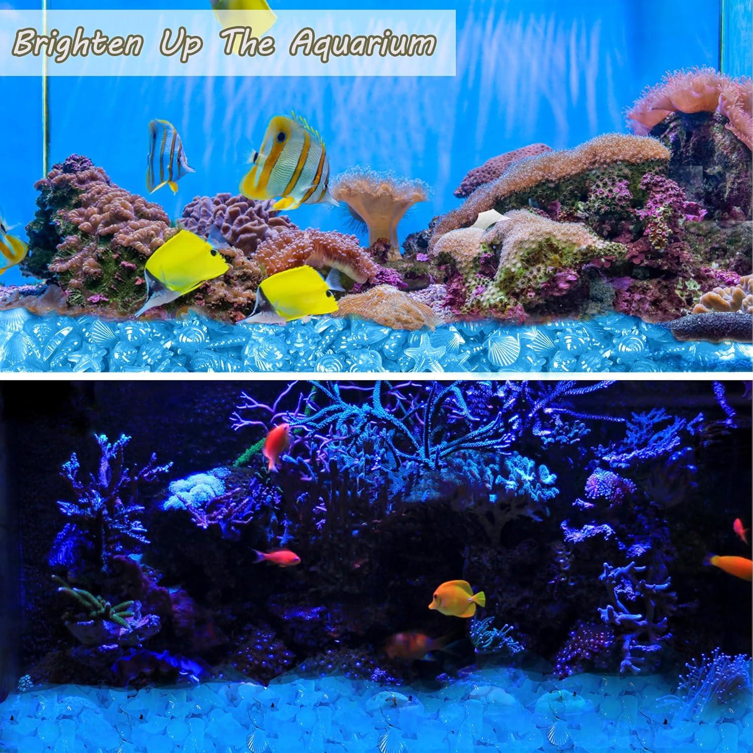 Piedras Luminiscentes para Acuario Kaiyuan Dinastía 100pc Azul