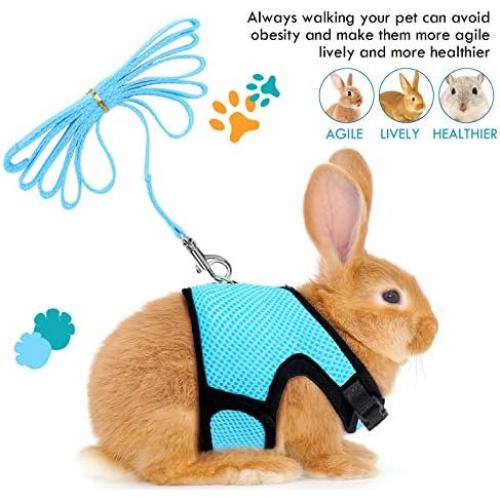 Arnés para Mascotas Pequeñas SATINIOR Ajustable Transpirable