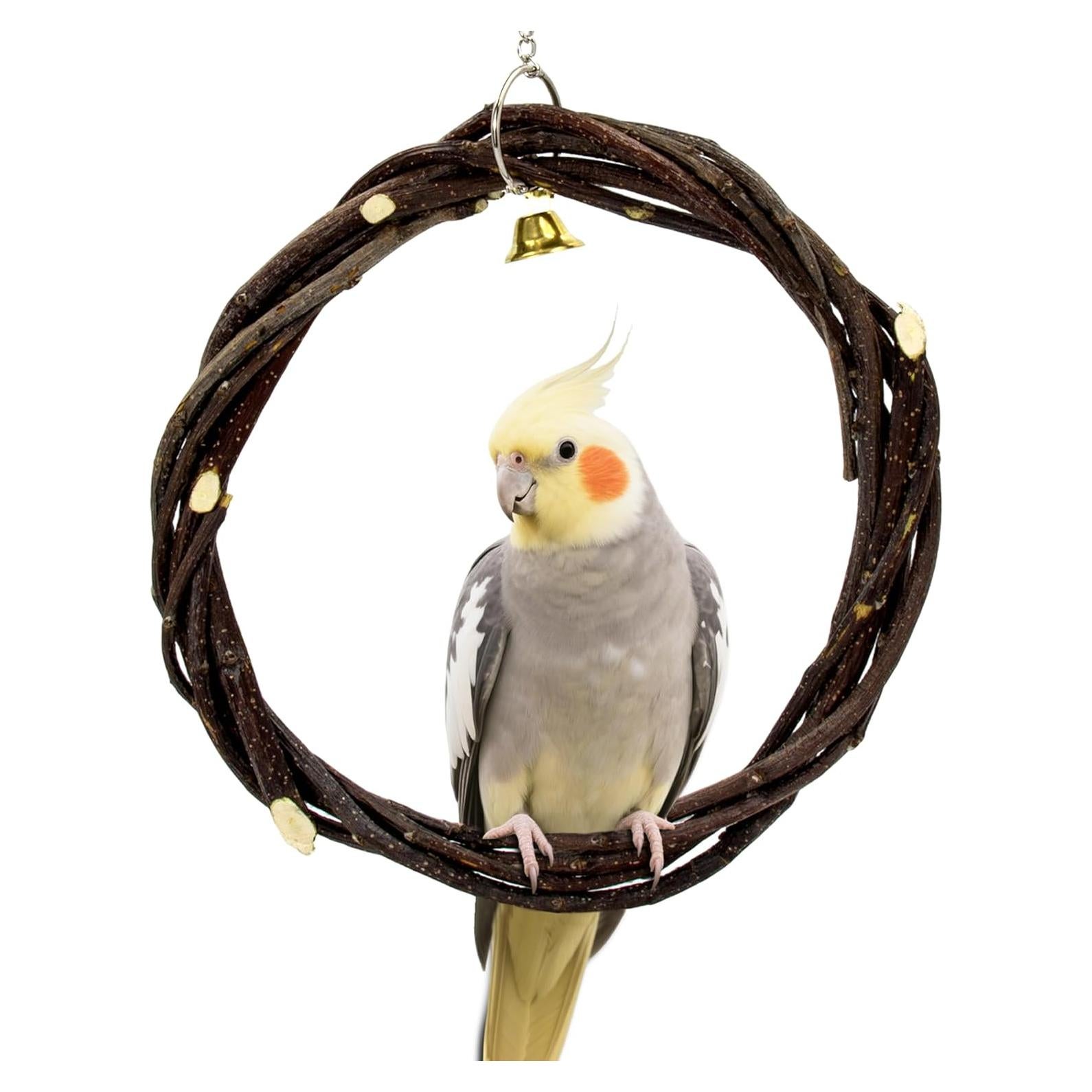 Columpio para Aves Jevnd Madera de Manzana Natural 20.32 cm