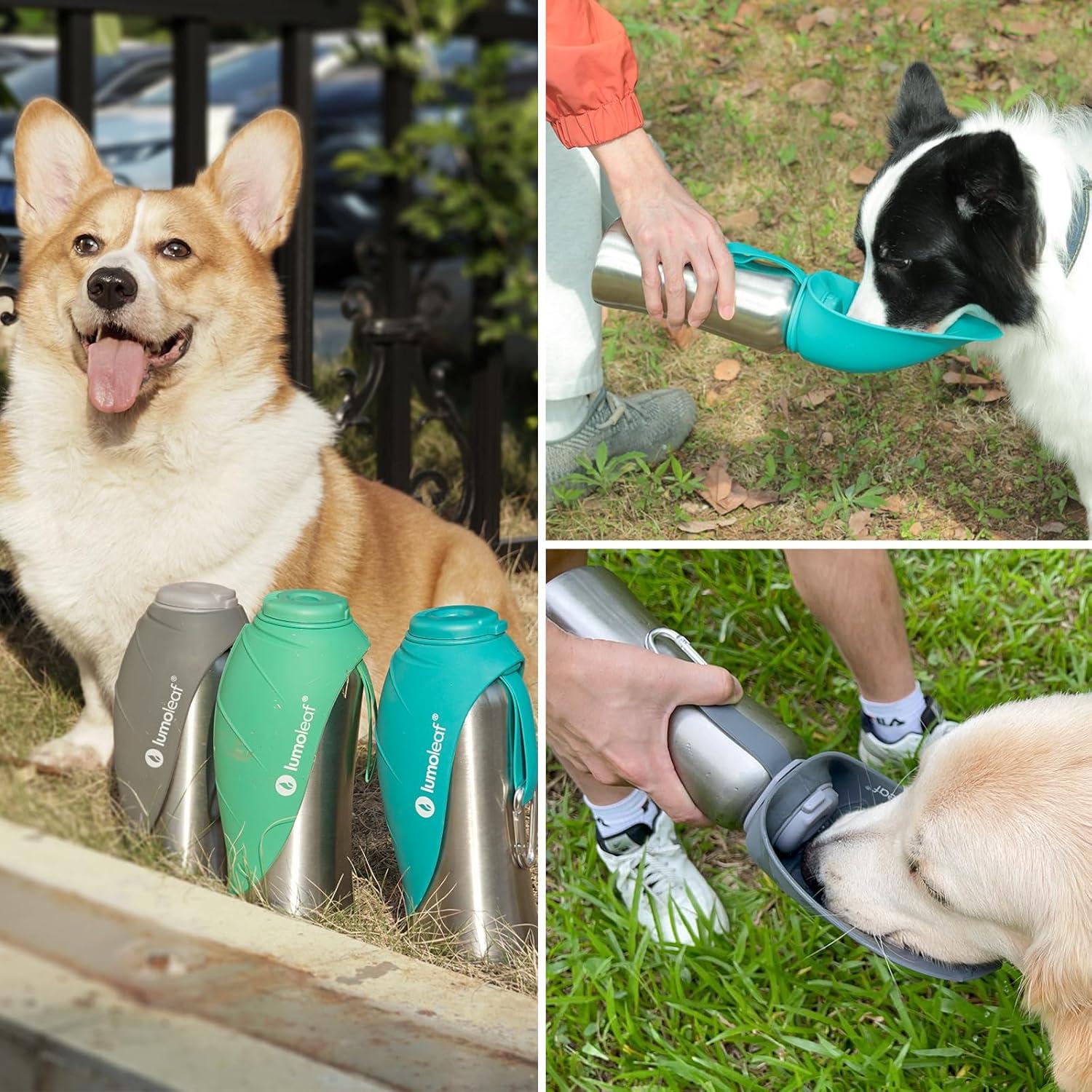 Botella de Agua Portátil LumoLeaf 800 ml para Perros Grandes
