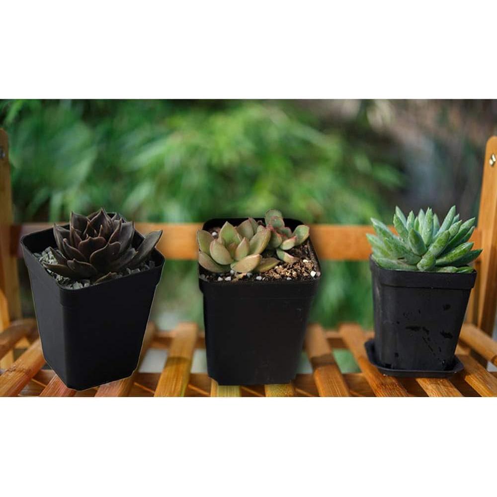 Paquete de 24 Macetas Negras Cuadradas OJYUDD 7x7x7.7cm