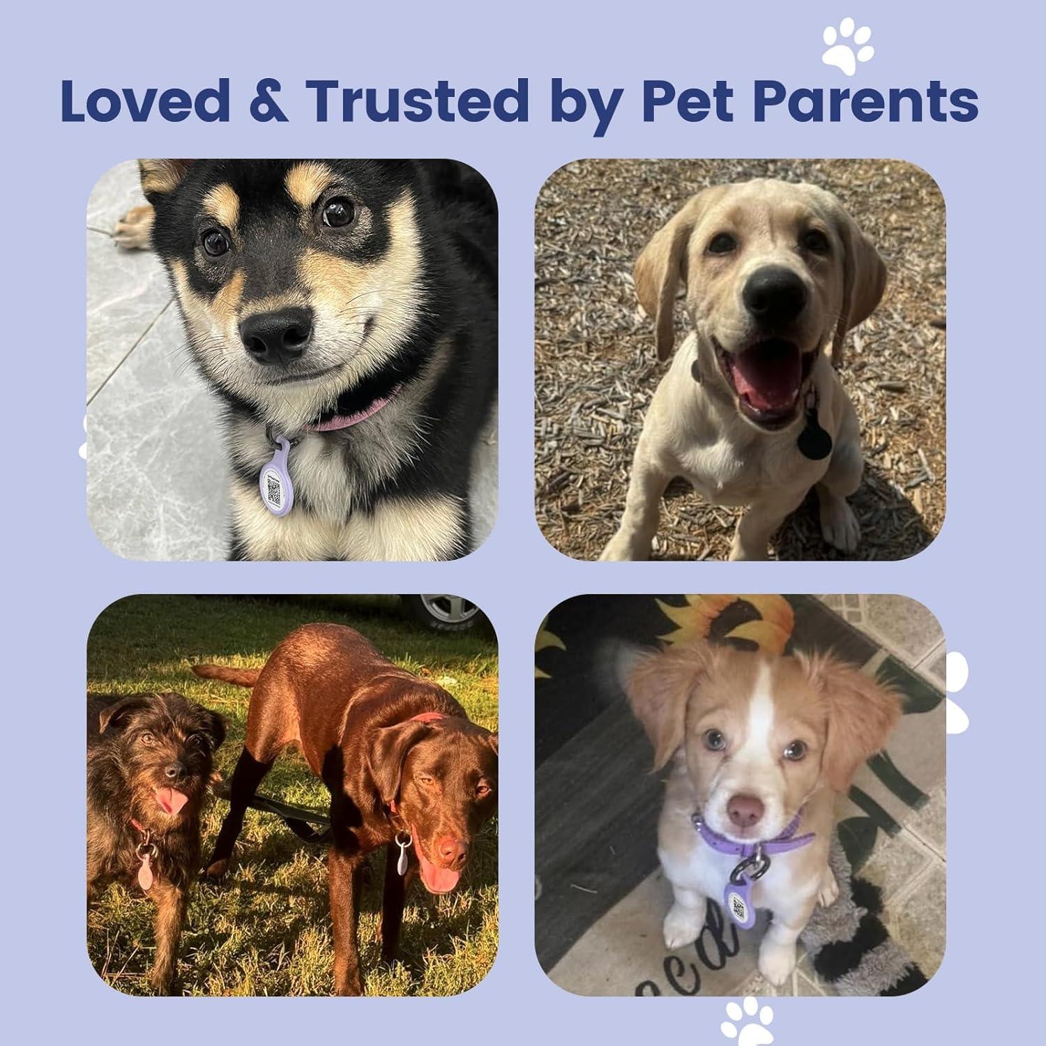 Dog ID Tag with QR Code & NFC, Silent Silicone Dog Name Tags Personalized for Pets- Scan QR for Instant Location Alert, Emergency Contact and Modifiable Pet Profile (Blue)