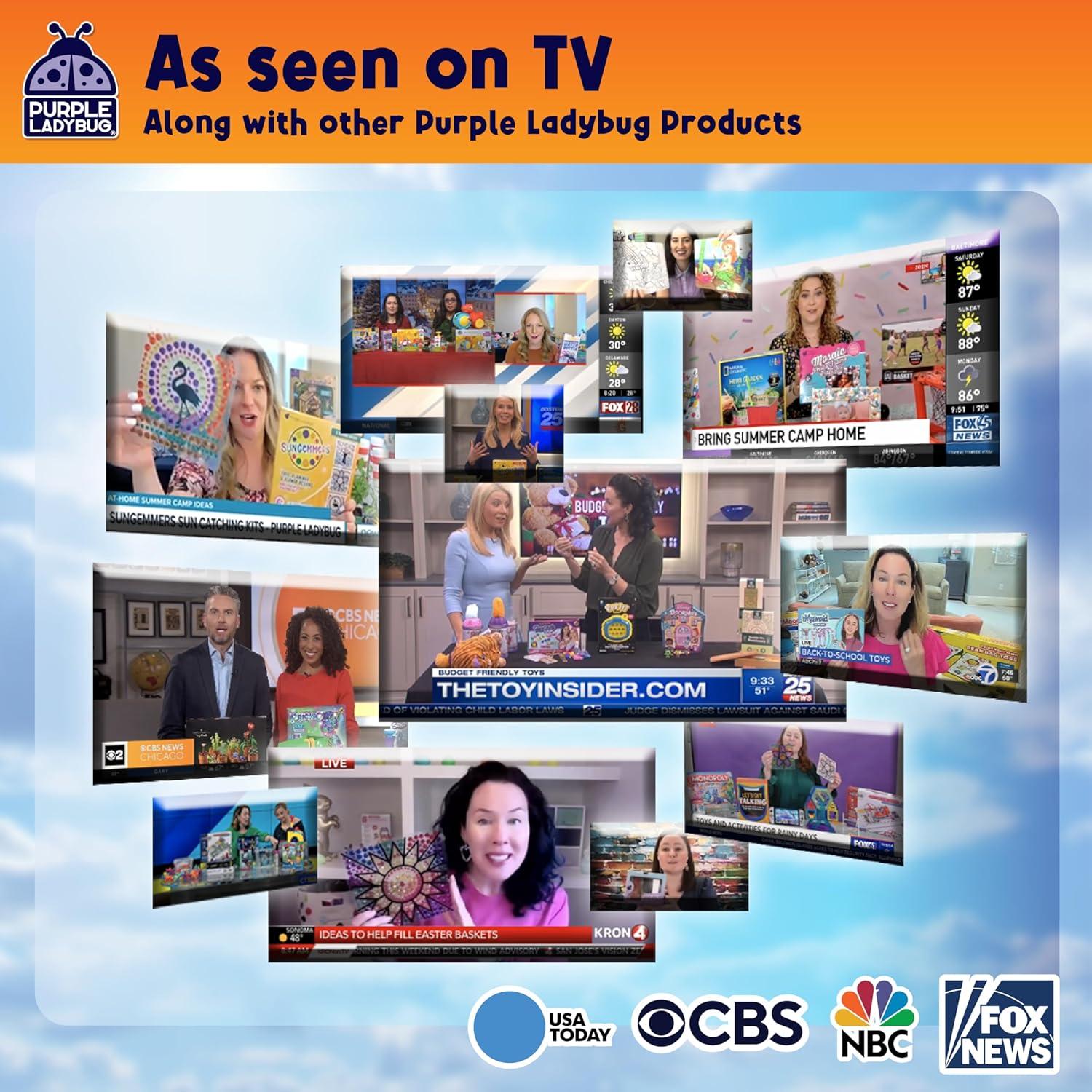 Kit de Arte de Ventana SunGemmers Purple Ladybug - Emoji Cool & Wink