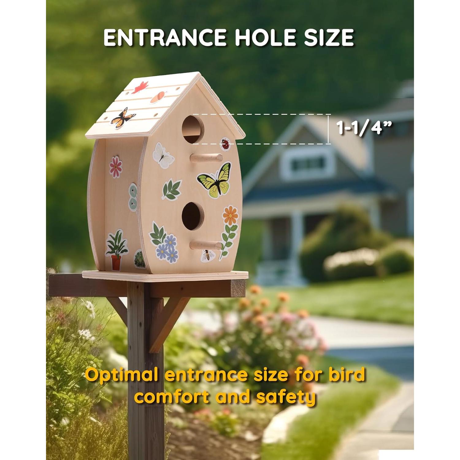 Kit Casa para Aves SainSmart Jr. Madera para Niños 3+