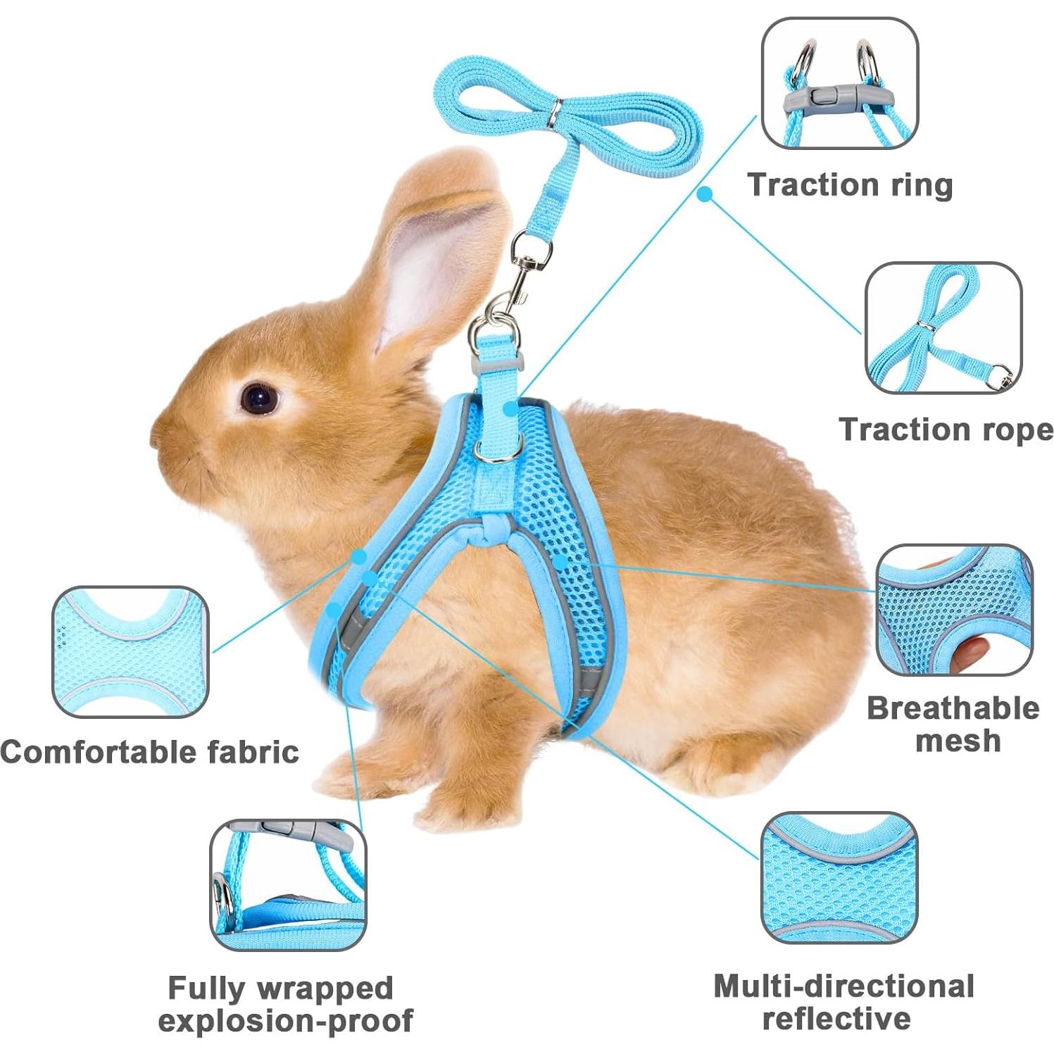 Juego de Arnés y Correa para Conejos PETKNOWS Azul y Negro