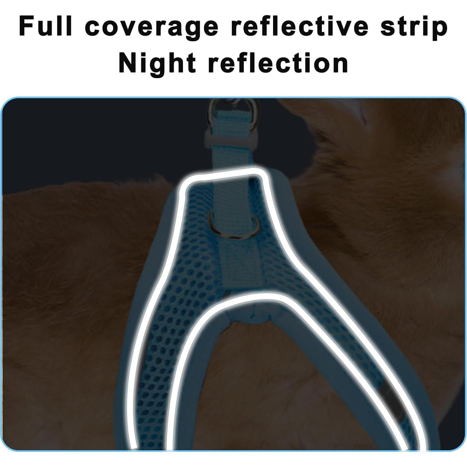 Juego de Arnés y Correa para Conejos PETKNOWS Azul y Negro