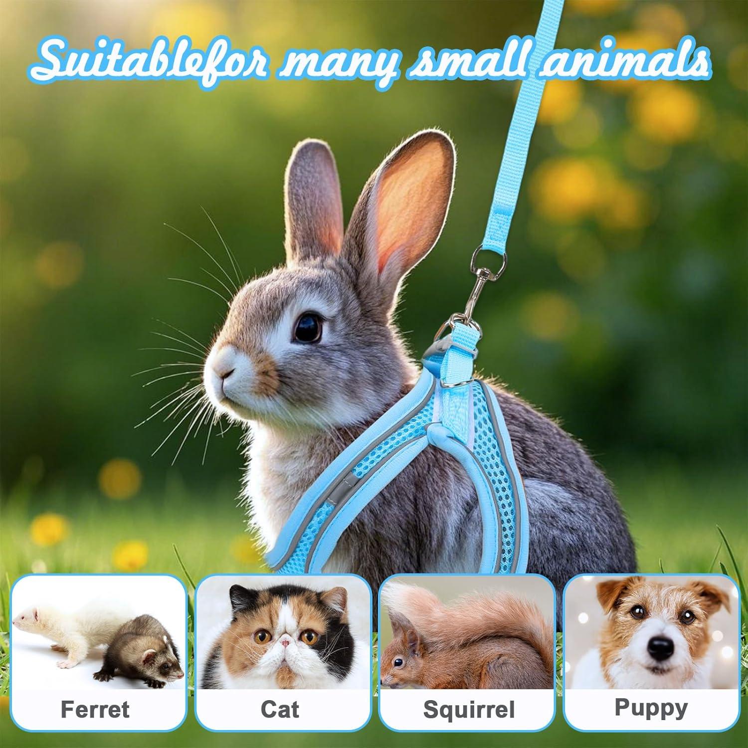 Juego de Arnés y Correa para Conejos PETKNOWS Azul y Negro