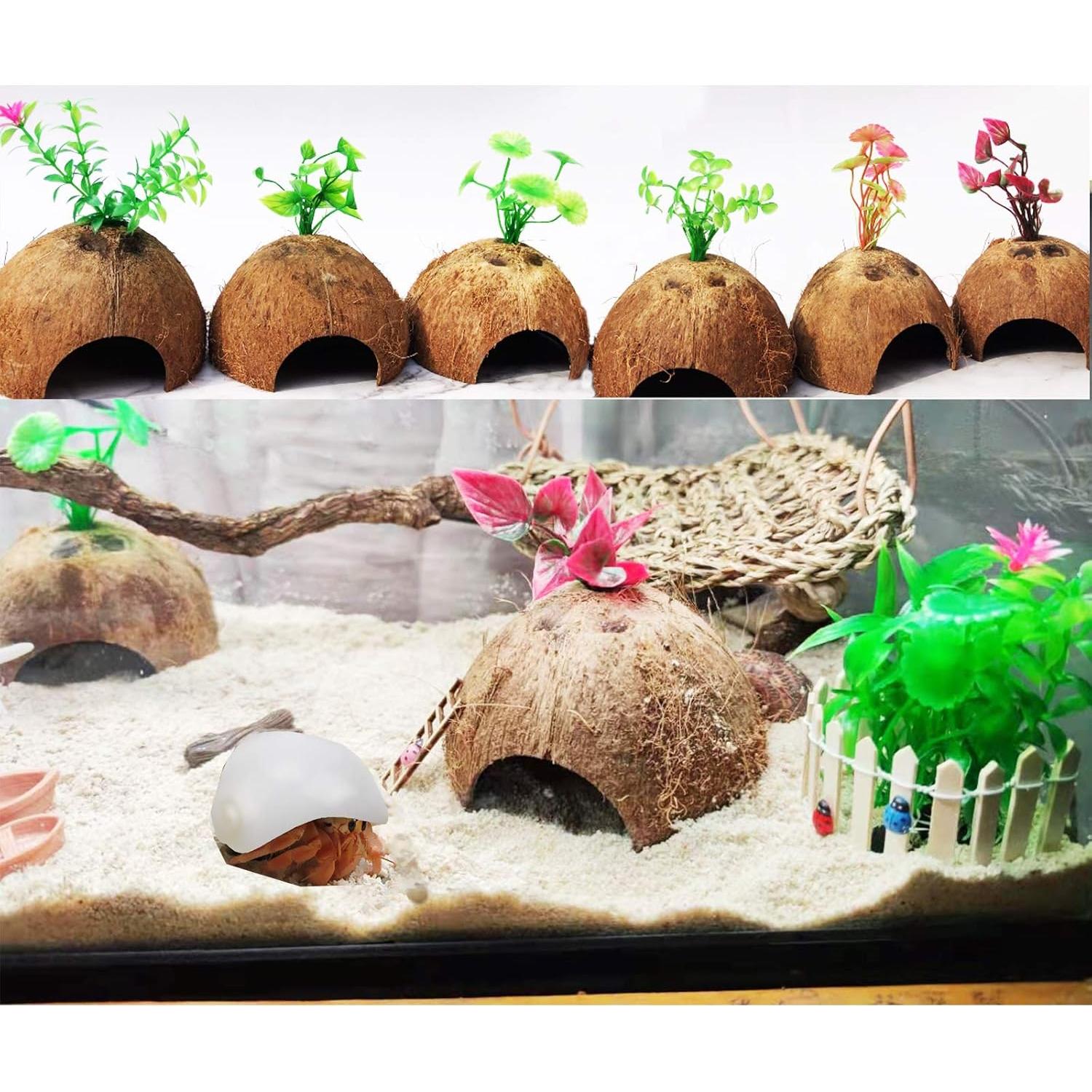 Accesorios para Cangrejo Ermitaño Sinkoo 19 PCS Coco y Plantas