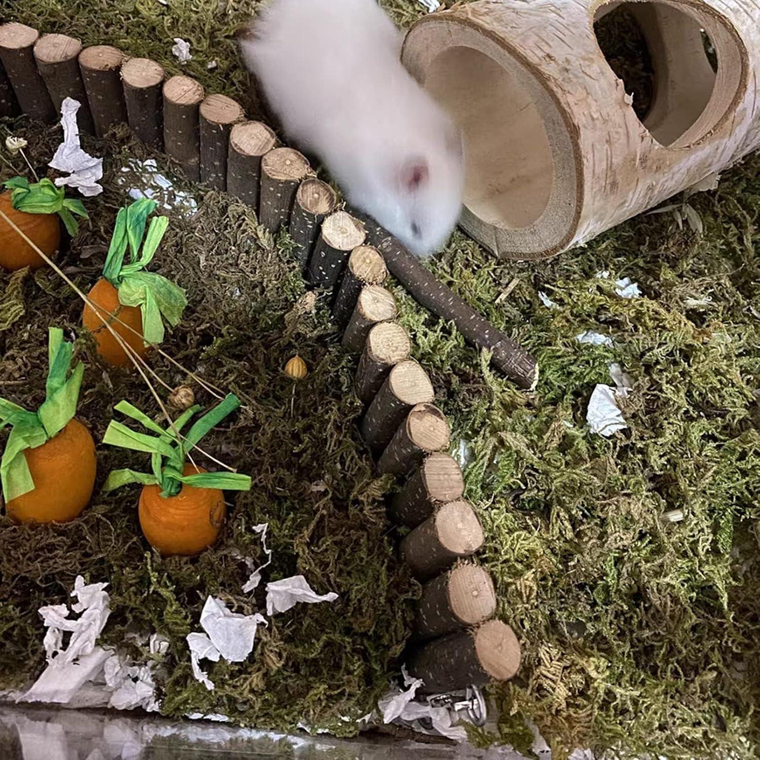 Puente de Madera Natural BLSMU 40x10cm para Hámster y Roedores