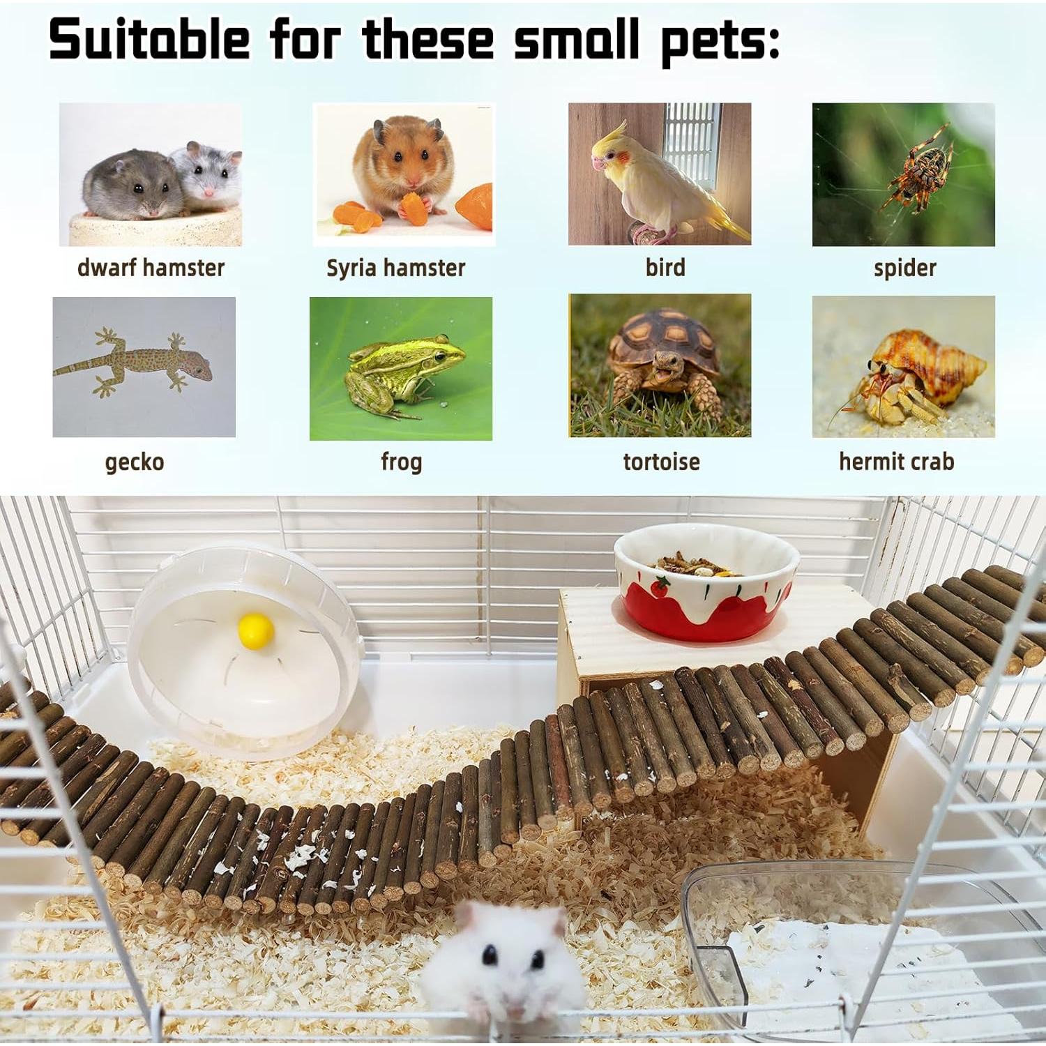 Puente de Madera Natural BLSMU 40x10cm para Hámster y Roedores