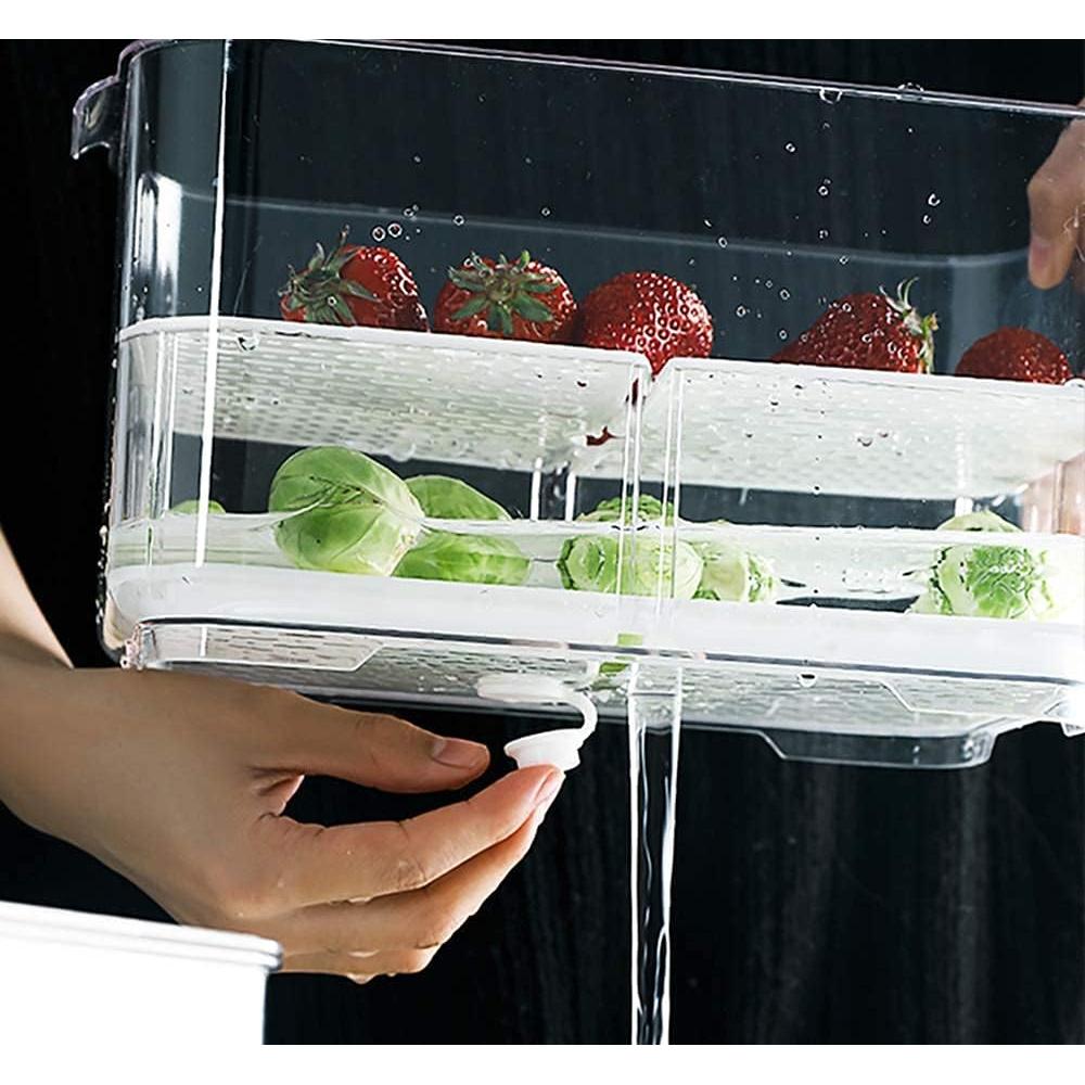 Contenedor Organizador de Refrigerador 5700 ml - Plástico PET