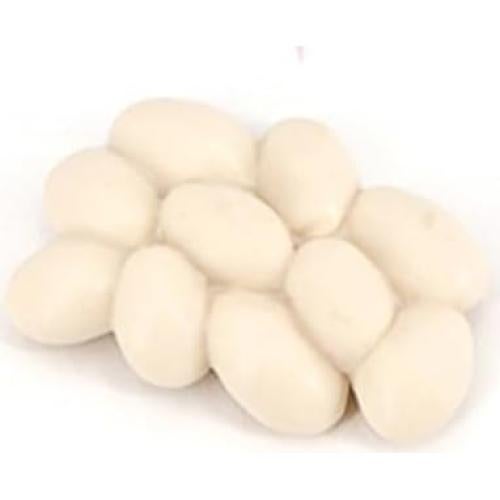 Set Educativo Ciclo de Vida de Hormigas Hvogvok - 4 Figuras