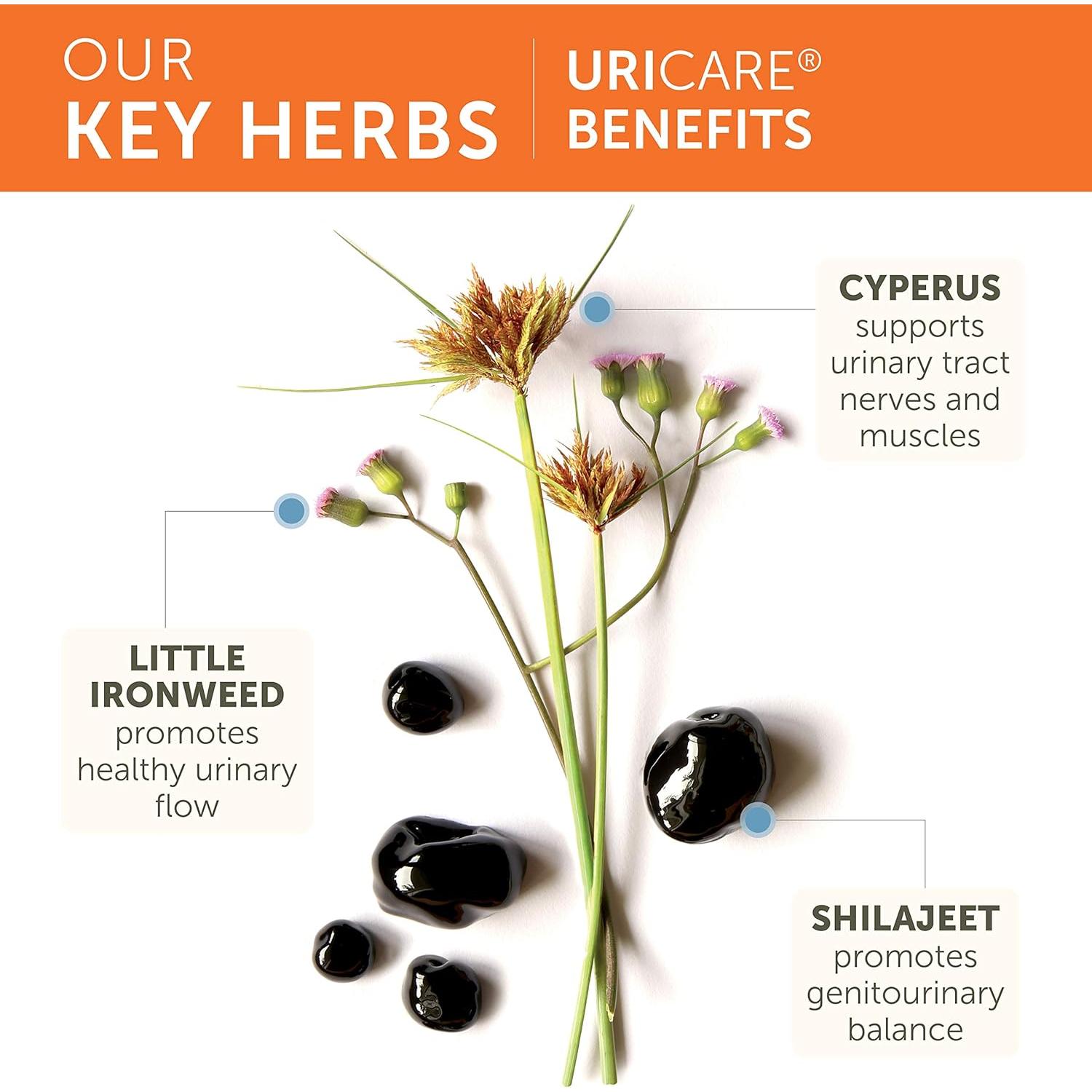 Himalaya UriCare Suplemento Herbal 120 Cápsulas Sin Cafeína