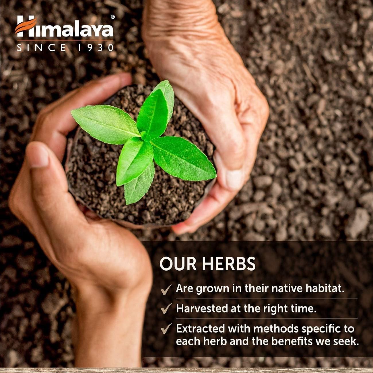 Himalaya UriCare Suplemento Herbal 120 Cápsulas Sin Cafeína