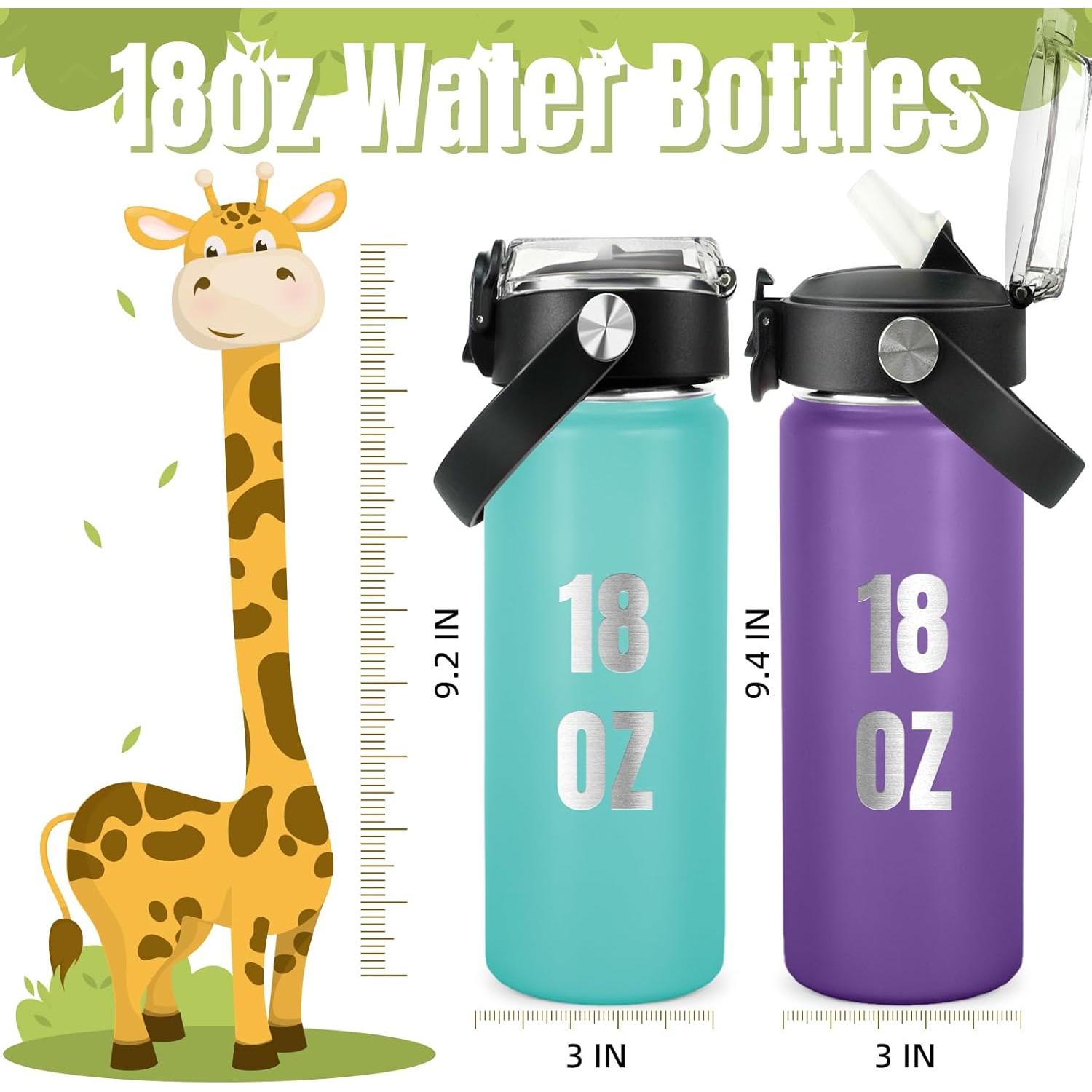 Botella de Agua Personalizada DOCRAGI 532 ml Doble Pared Aislada