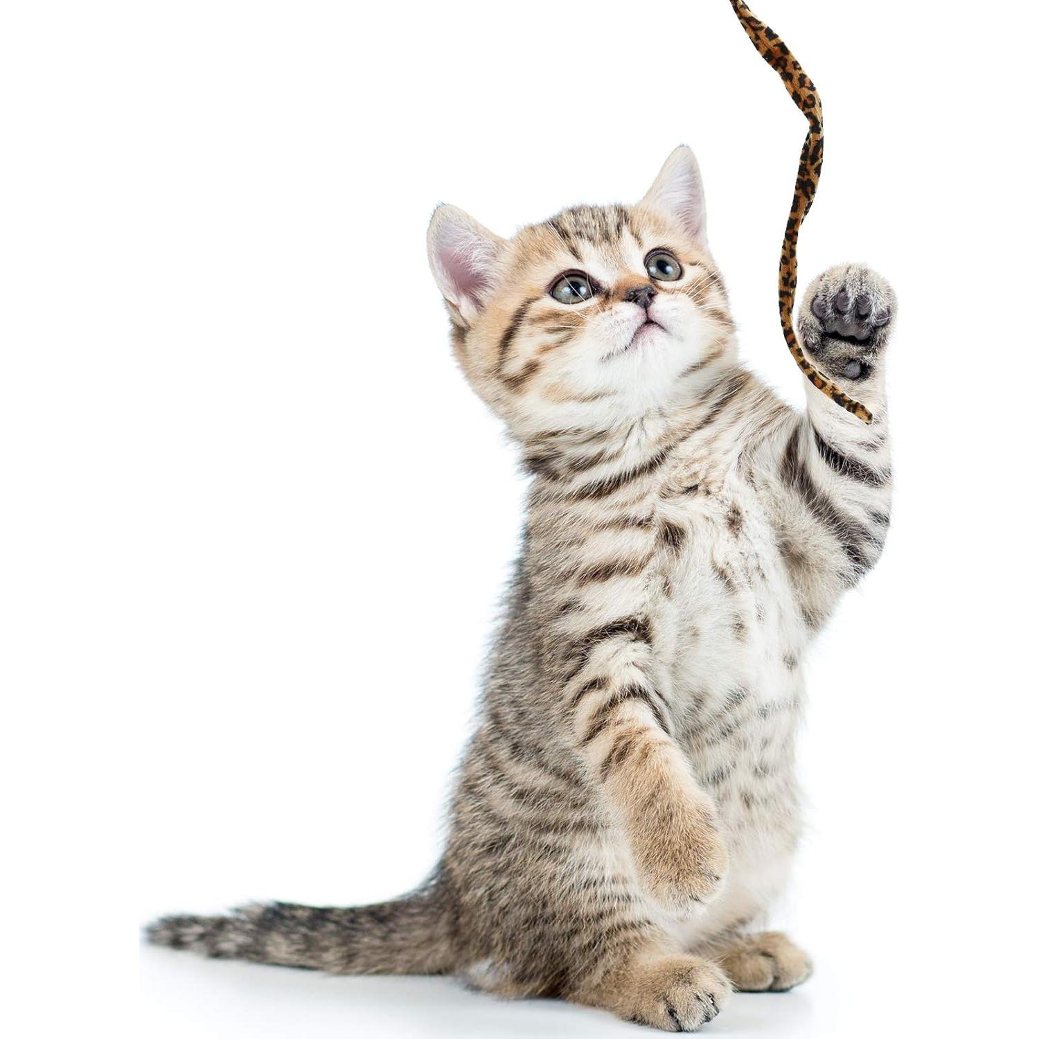 Juguete Interactivo para Gatos Sumind - 3 Varitas de 40 cm