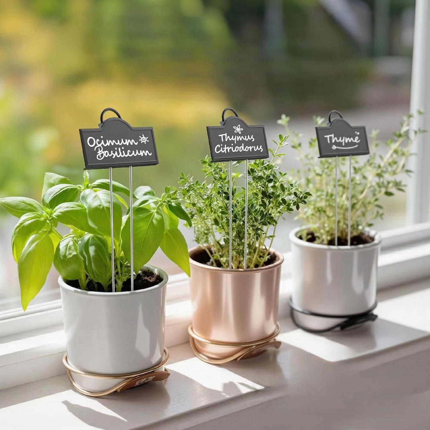 Etiquetas de Plantas de Acero Inoxidable Bravex 25 Piezas 27.3 cm