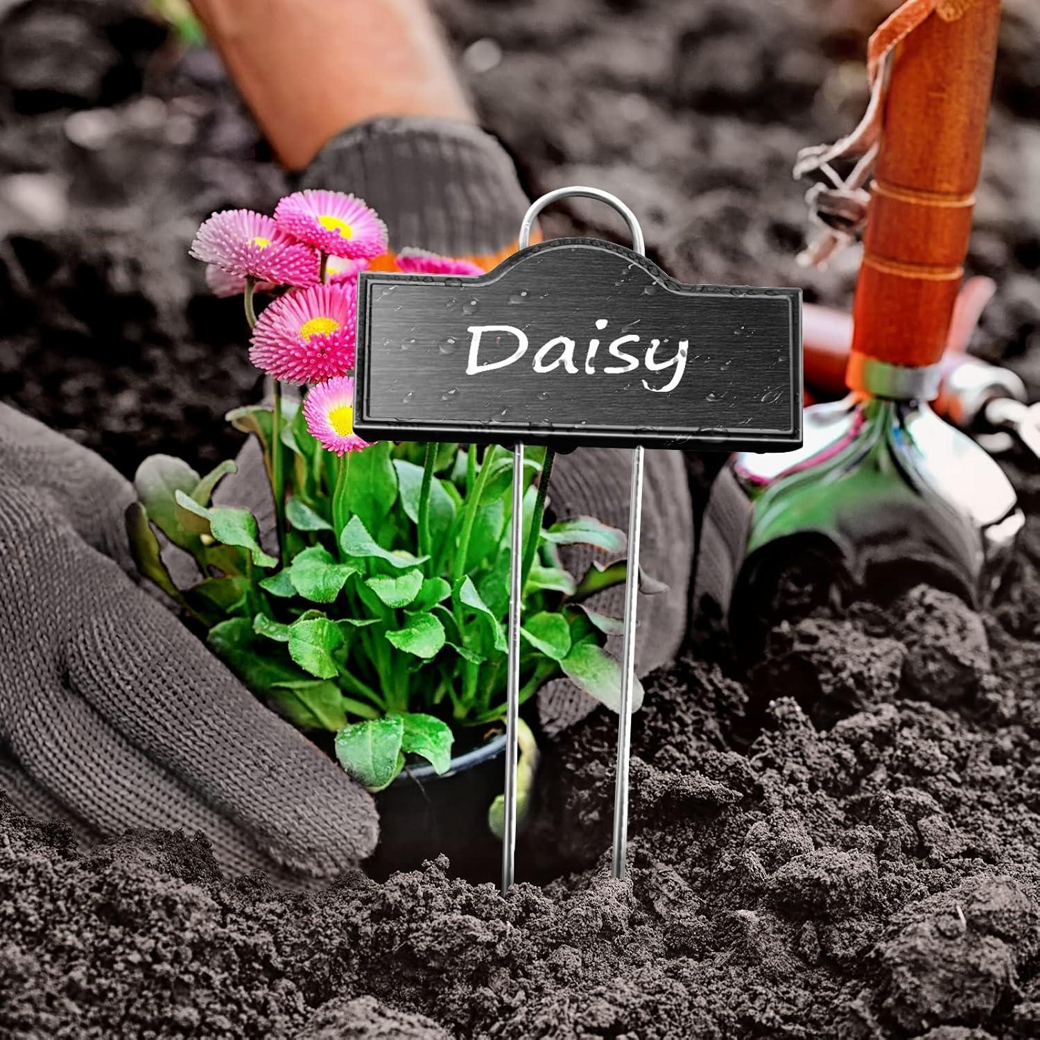 Etiquetas de Plantas de Acero Inoxidable Bravex 25 Piezas 27.3 cm