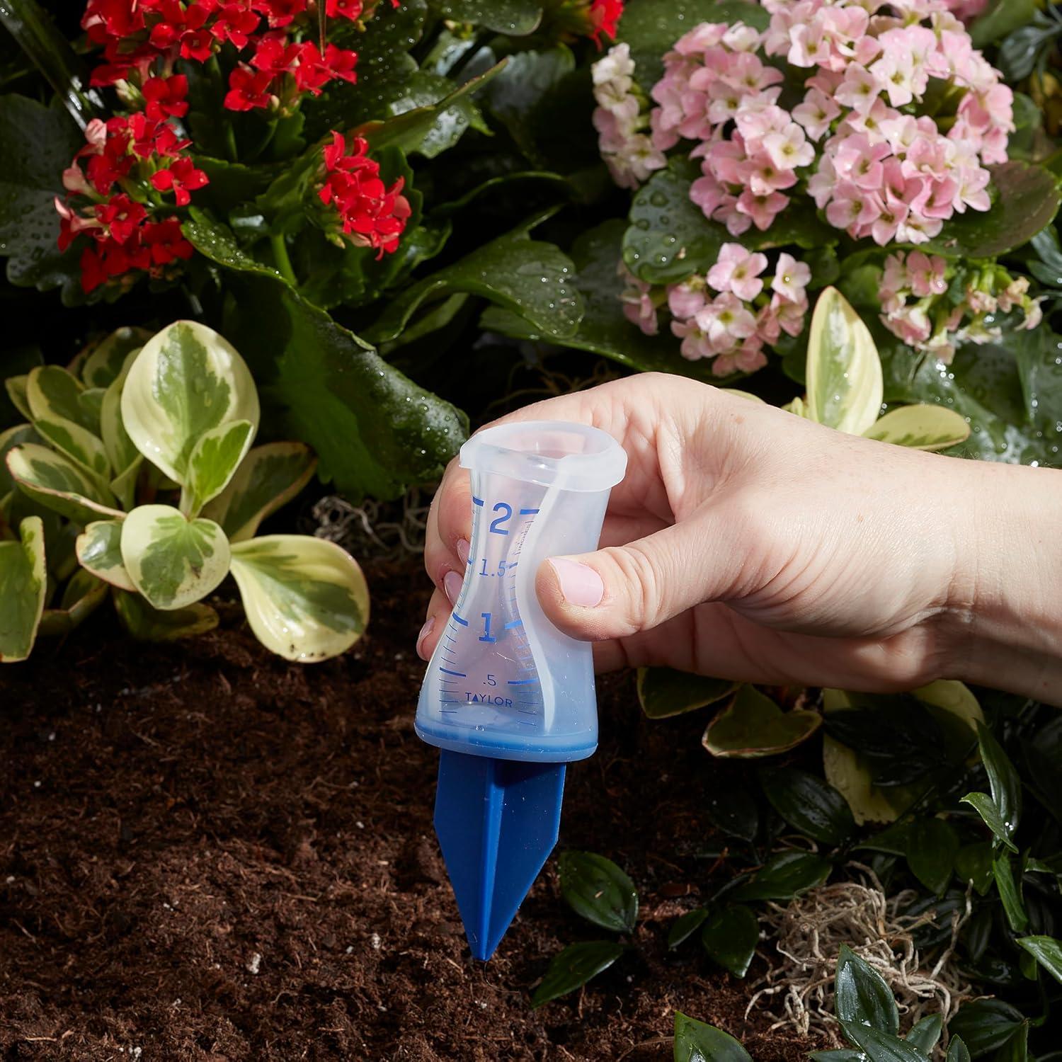 Medidor de Aspersor de Silicona Taylor 5 cm Azul Resistente