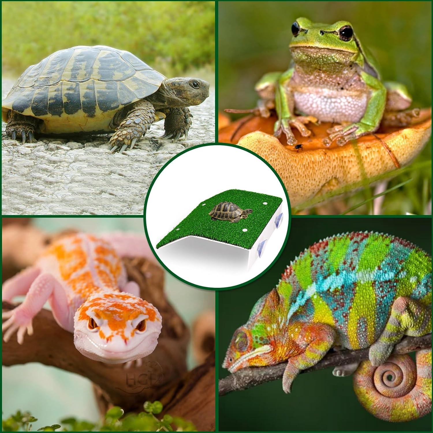 Plataforma de Sol para Tortugas Dexspoeny - Grande, 20.7x20cm