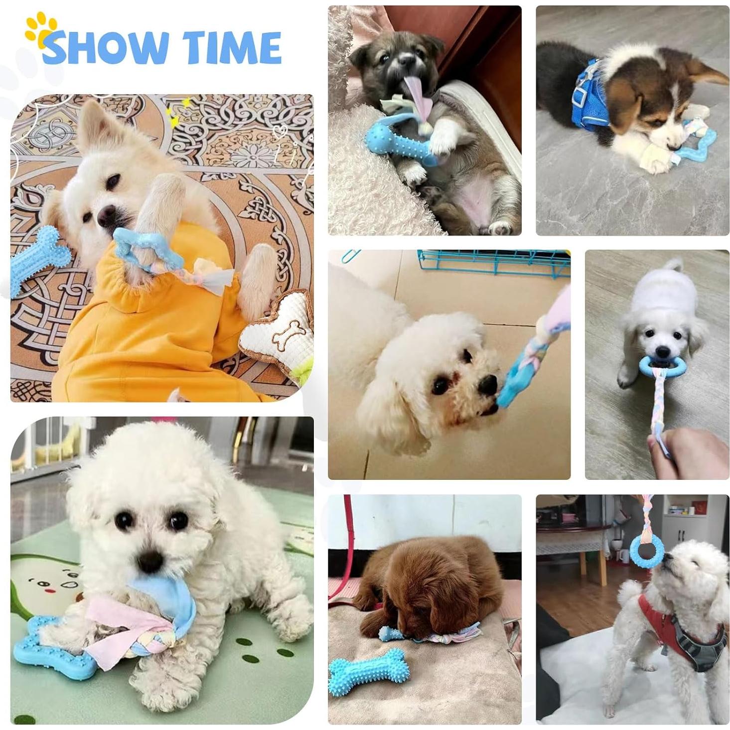 Set de Juguetes de Dentición para Cachorros BAEJMJK 6 Piezas