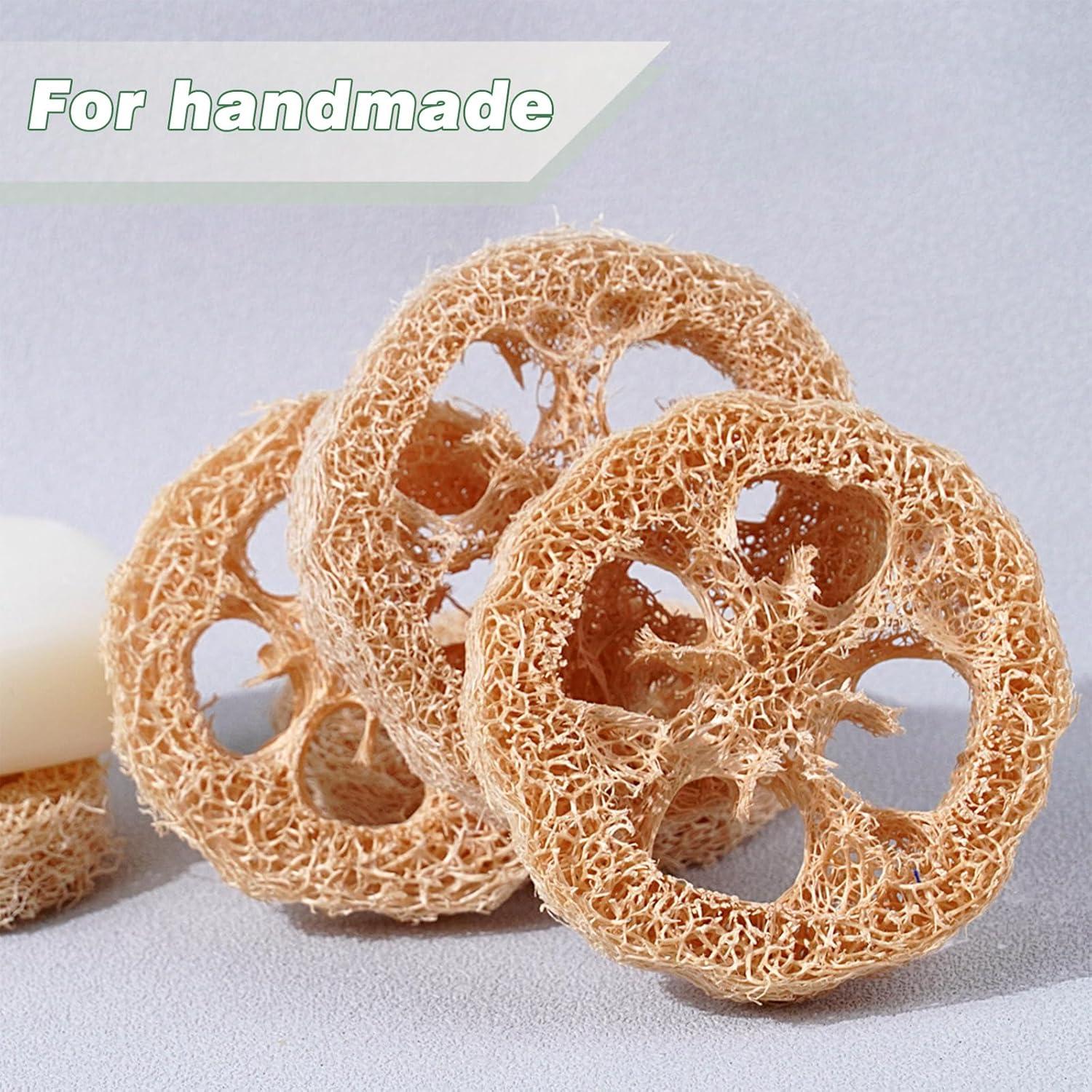 Esponjas de Lufa Natural Balifeel - Paquete de 20 Unidades