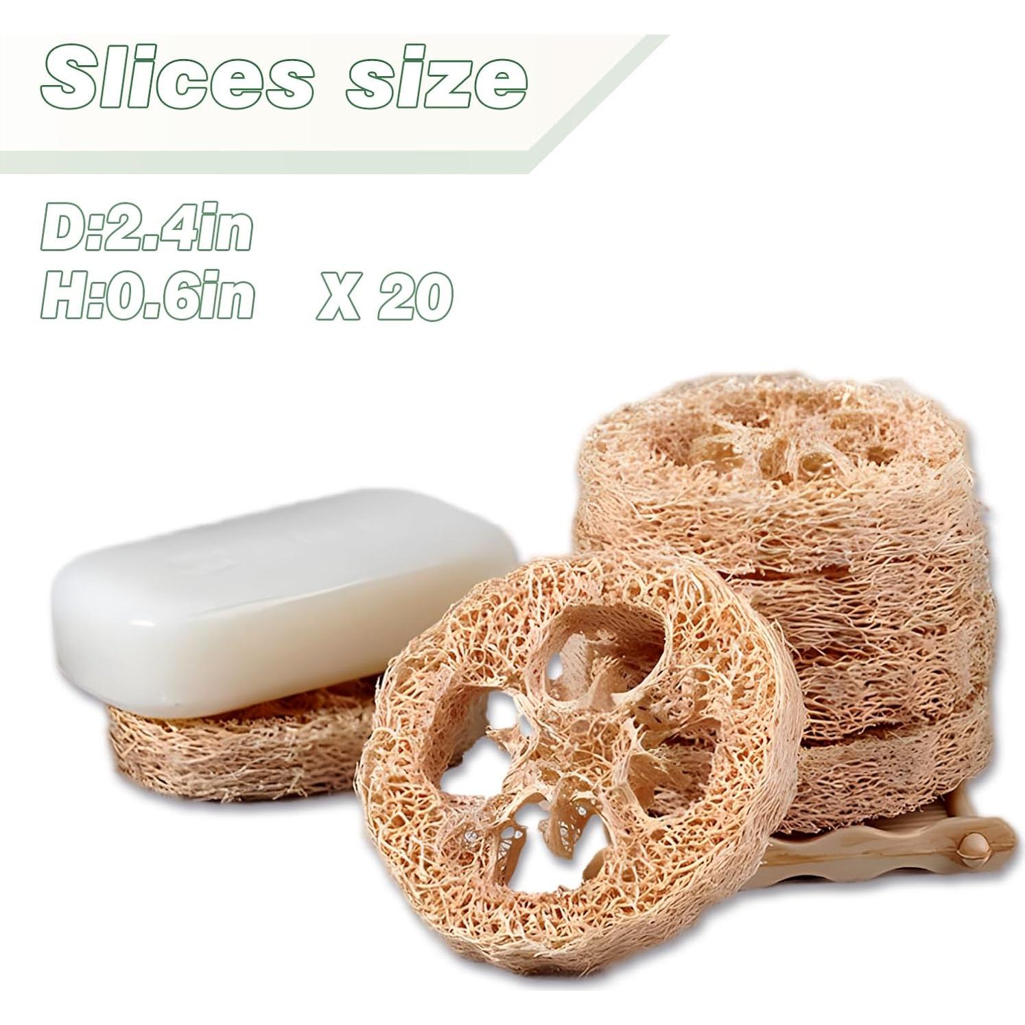 Esponjas de Lufa Natural Balifeel - Paquete de 20 Unidades