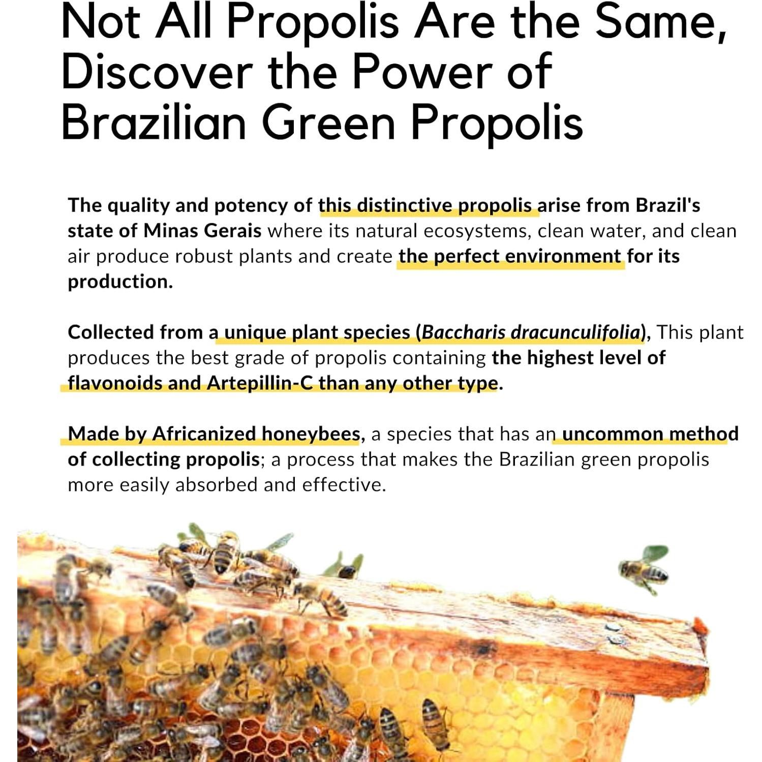 Spray de Propolis Verde Brasileño PALO 30 ml - Alivio Garganta