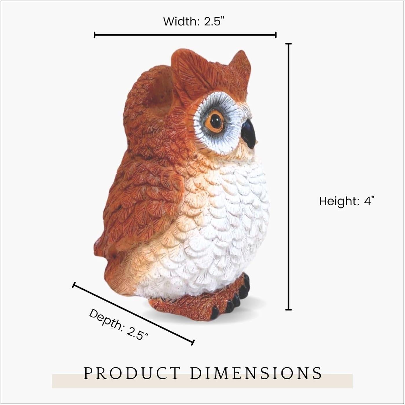 Soporte para Gafas de Búho AMAJY - Organizador Decorativo 10 cm