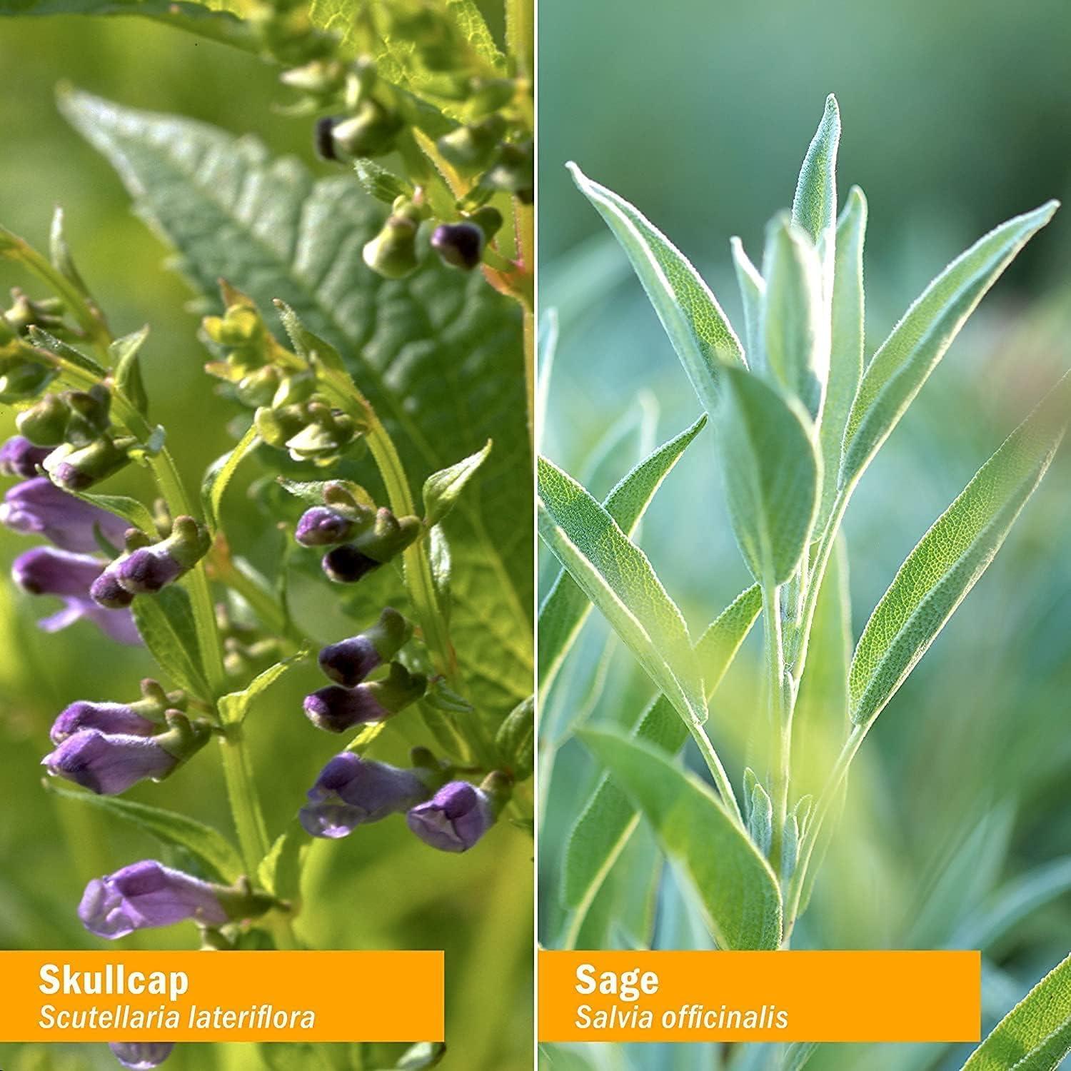 Suplemento Nootrópico Orgánico Herb Pharm Ginkgo Biloba 29.57 ml