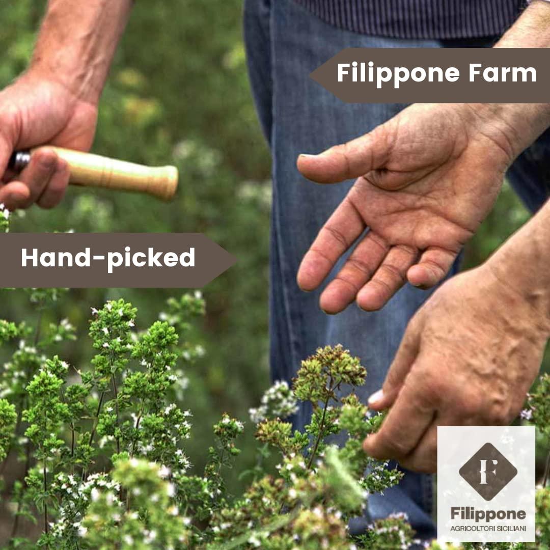 Hojas de Laurel Sicilianas Orgánicas Filippone 20 g