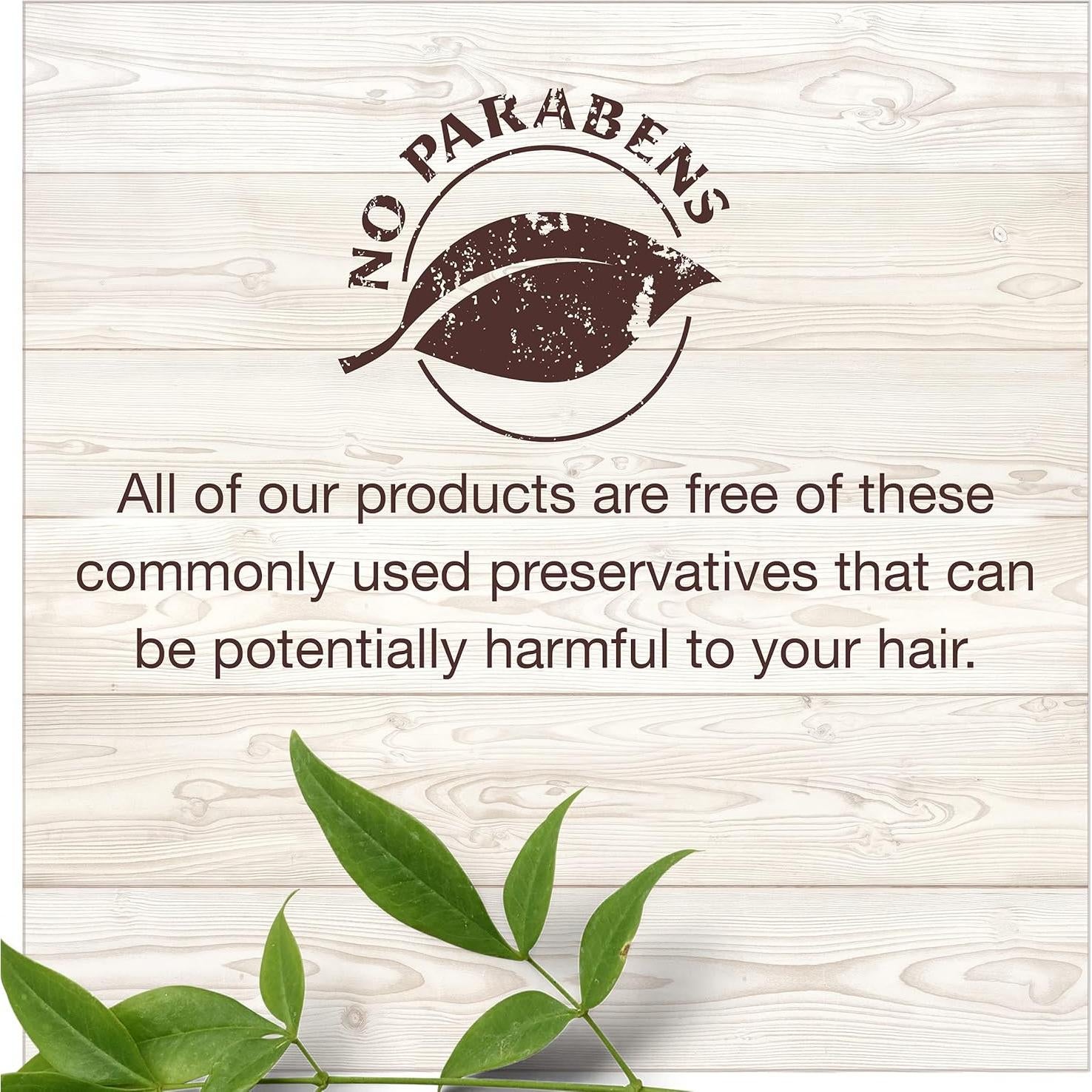 Acondicionador sin enjuague Garnier Whole Blends 150 ml - Aceite de Argán y Camelia