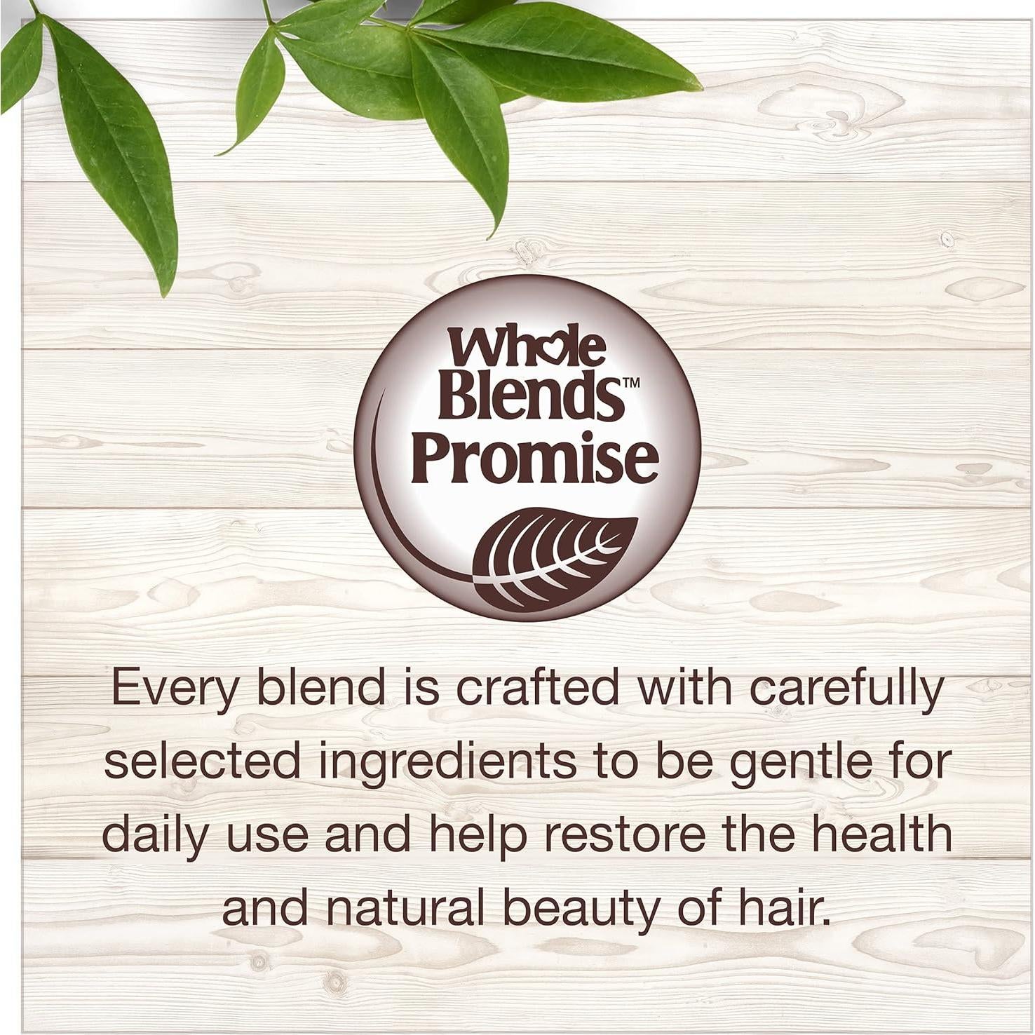 Acondicionador sin enjuague Garnier Whole Blends 150 ml - Aceite de Argán y Camelia