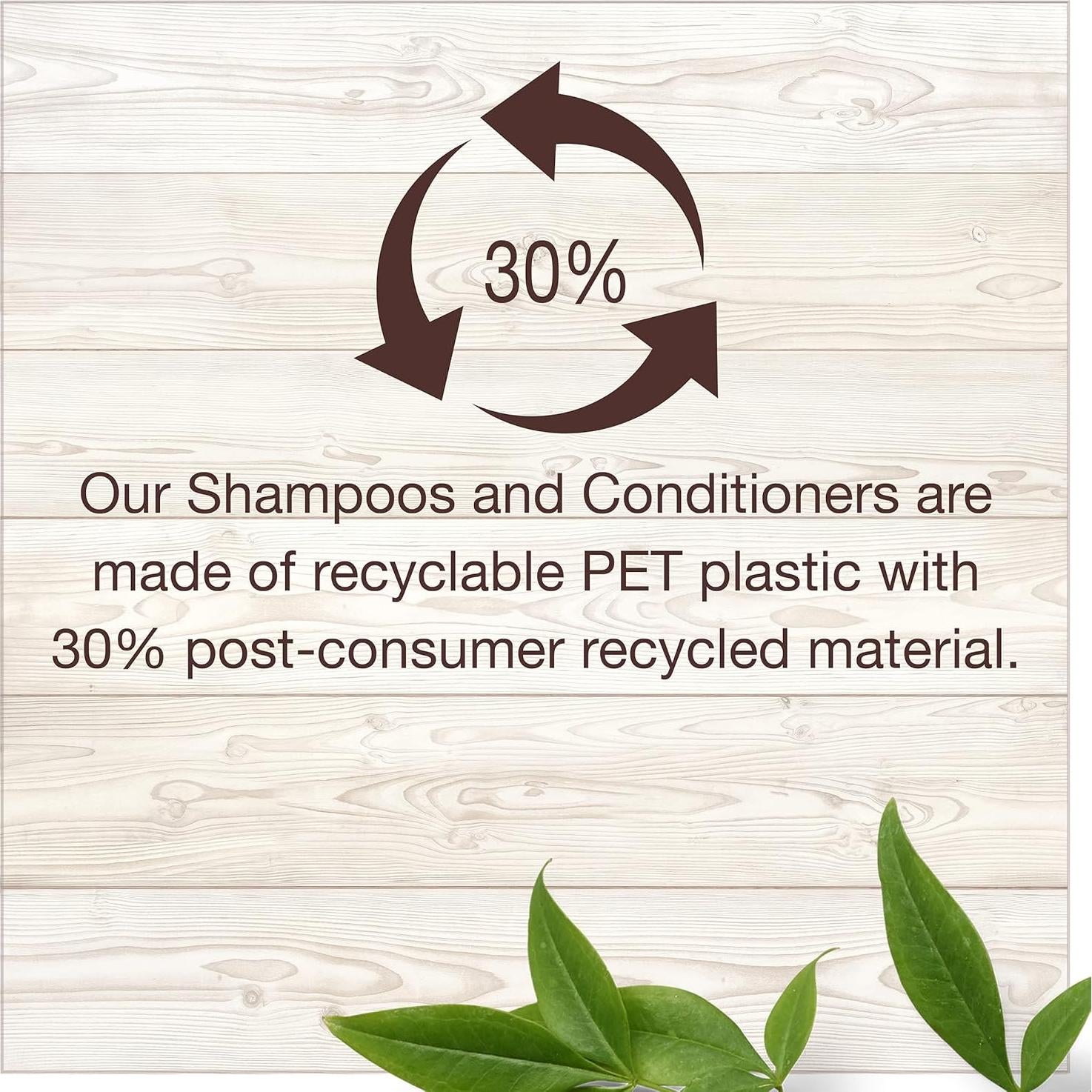 Acondicionador sin enjuague Garnier Whole Blends 150 ml - Aceite de Argán y Camelia