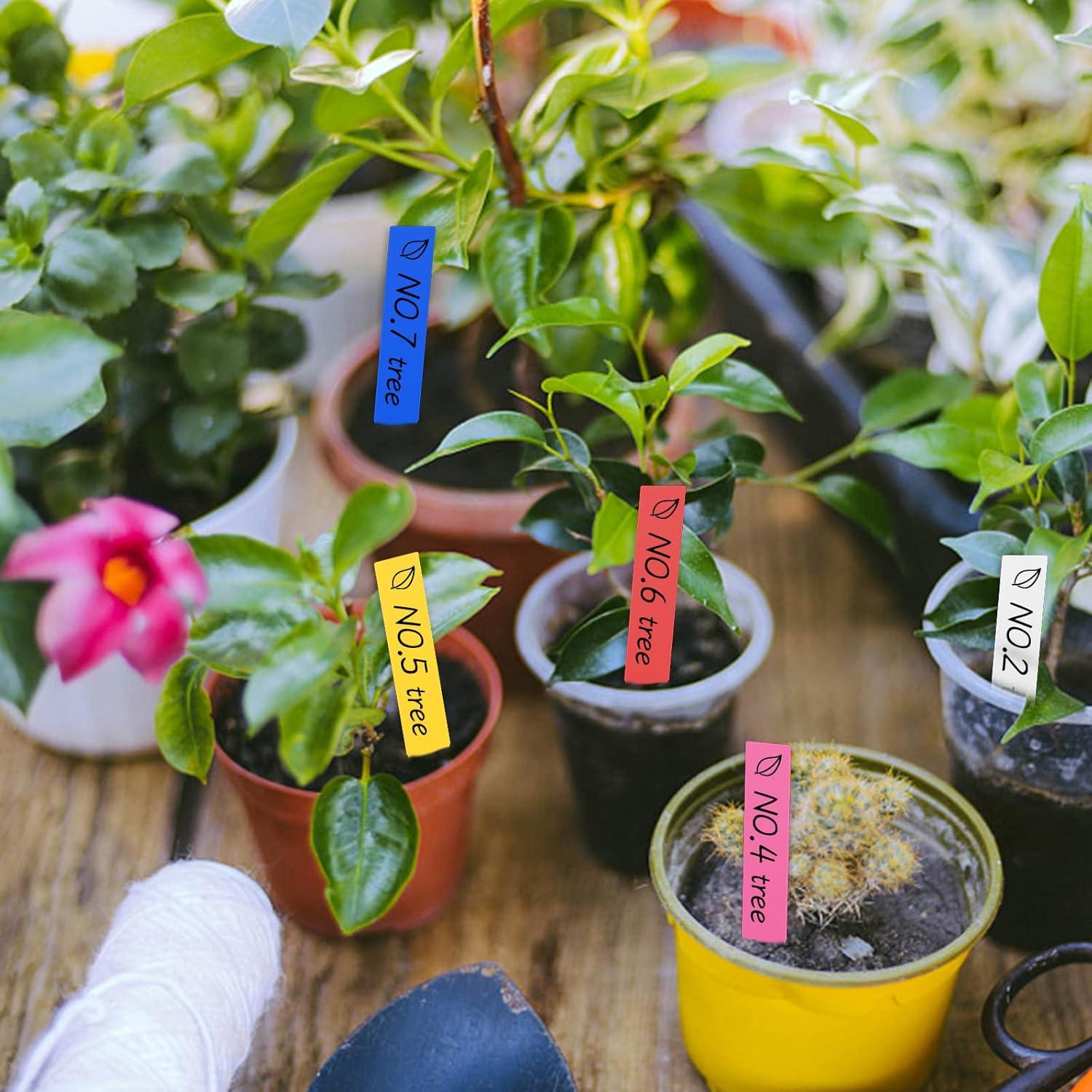 100 Etiquetas de Plantas Multicolor XGATML 10x2cm Plástico